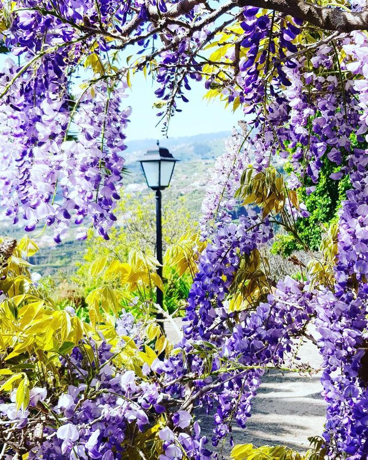 Quinta Do Cabouco Ξενοδοχείο Ribeira Brava Εξωτερικό φωτογραφία