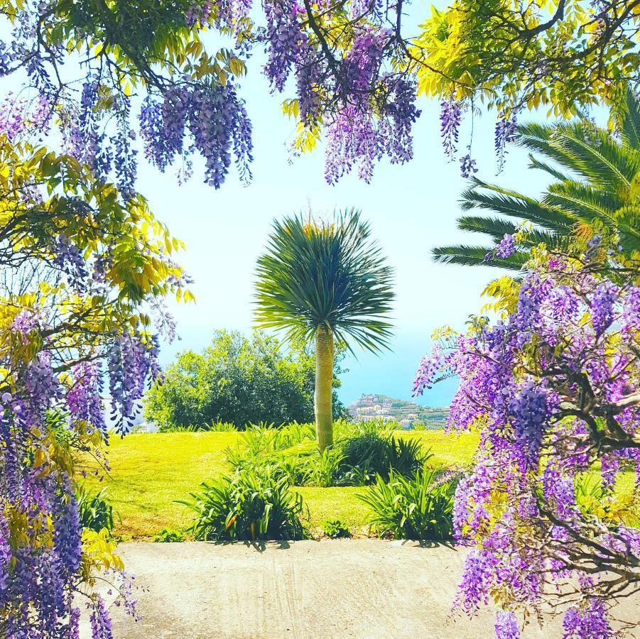 Quinta Do Cabouco Ξενοδοχείο Ribeira Brava Εξωτερικό φωτογραφία