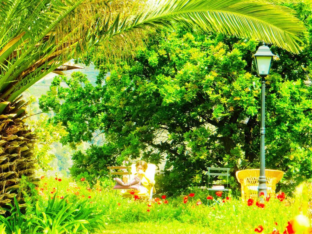 Quinta Do Cabouco Ξενοδοχείο Ribeira Brava Εξωτερικό φωτογραφία