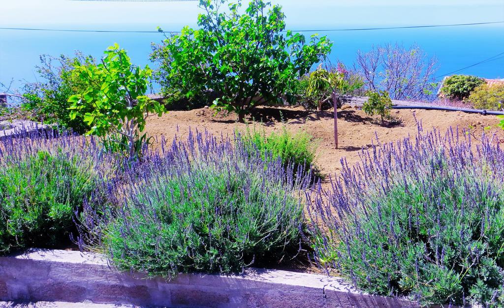 Quinta Do Cabouco Ξενοδοχείο Ribeira Brava Εξωτερικό φωτογραφία
