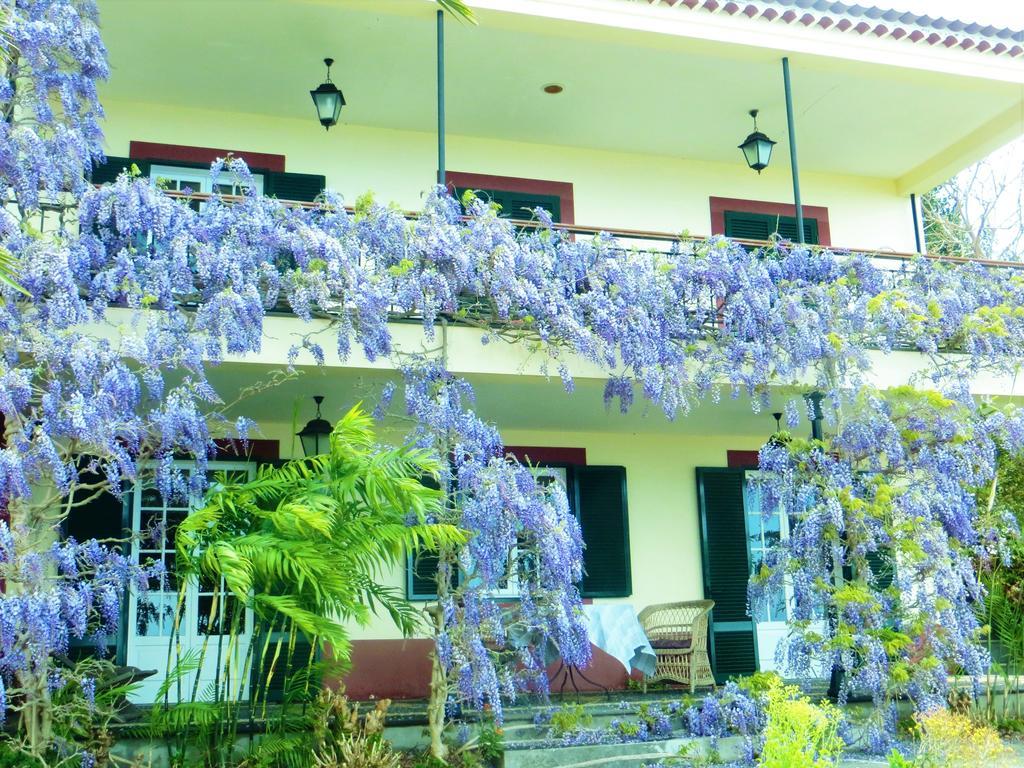 Quinta Do Cabouco Ξενοδοχείο Ribeira Brava Εξωτερικό φωτογραφία
